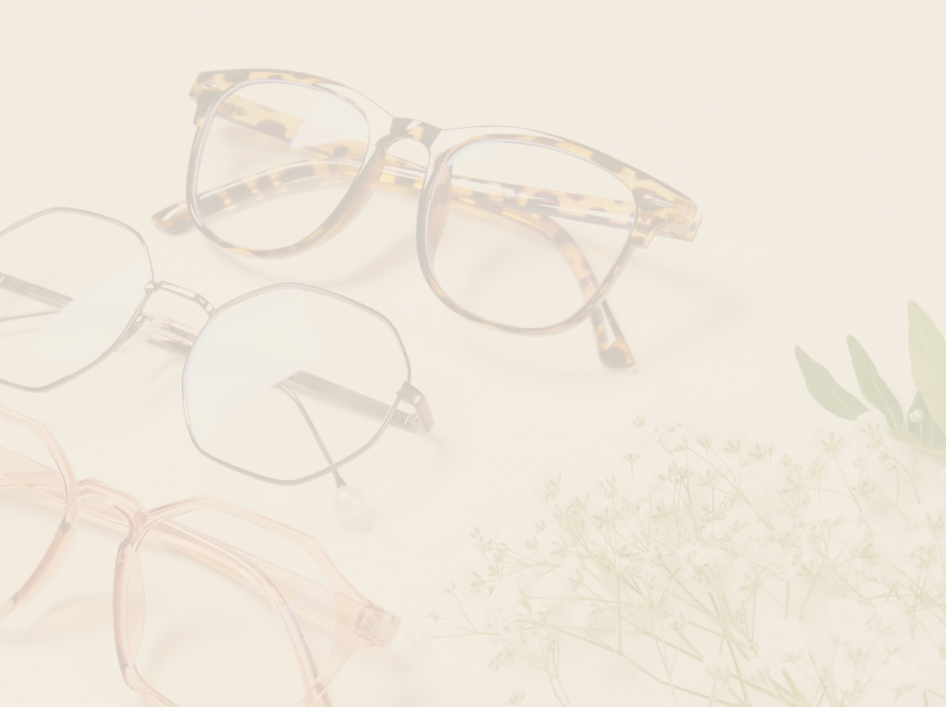 Weston Optical Eyeglasses Frames Brands Bkg